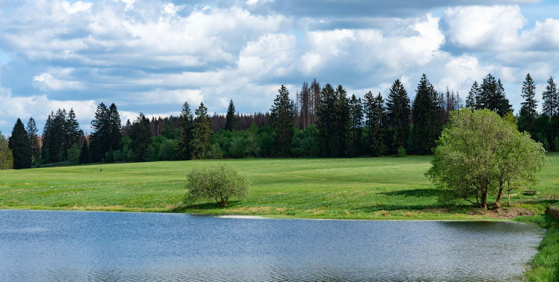 Pixhaier Teich Die HarzUrlaubsAlm
