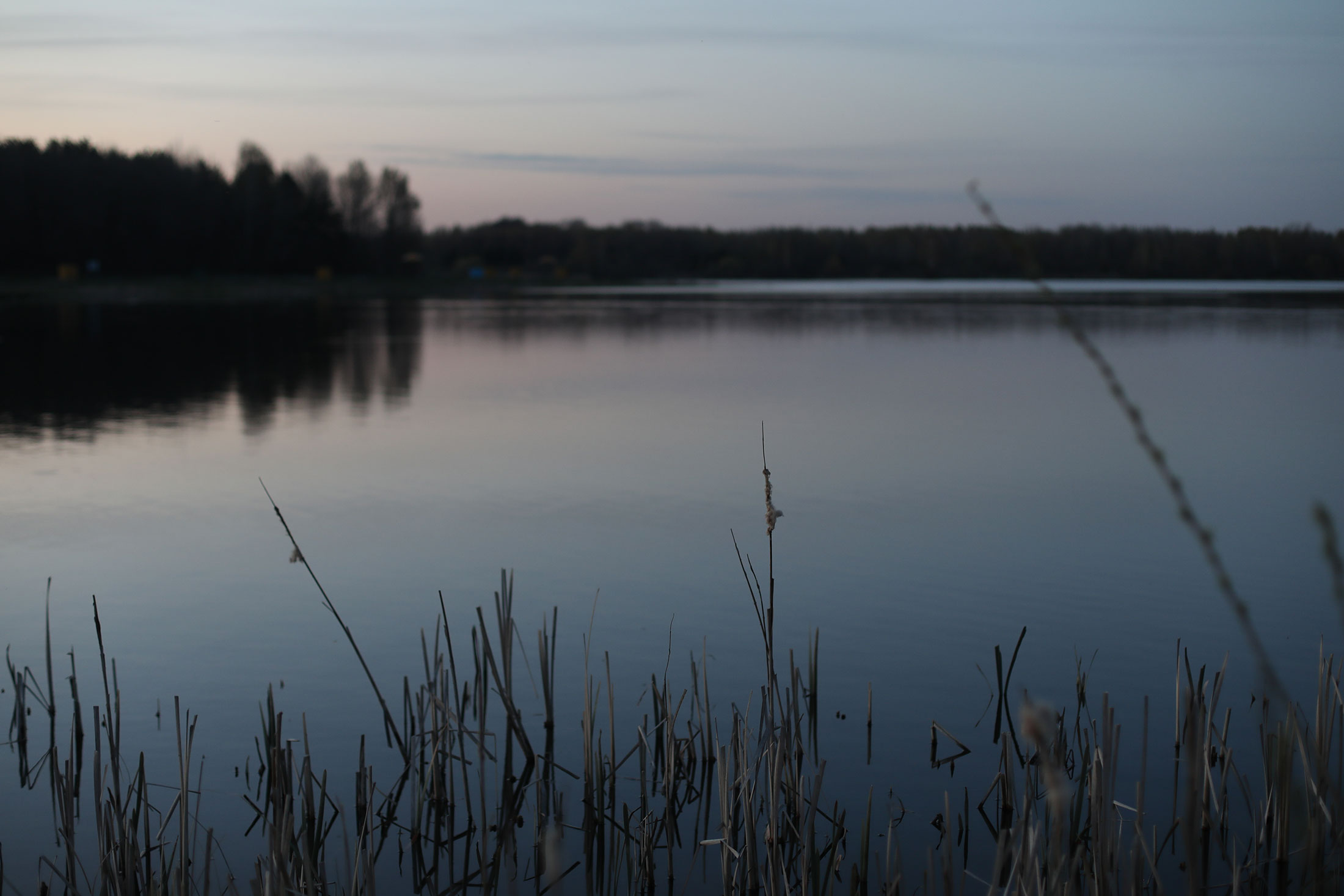 Kiefhölzer Teich Die HarzUrlaubsAlm