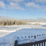 IMG_9649b IMG_9649b