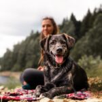 young woman and beautiful german shepherd mix dog puppy sitting